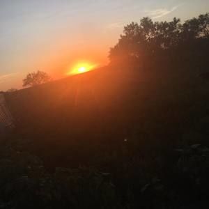 Meet your Posher, Jacob